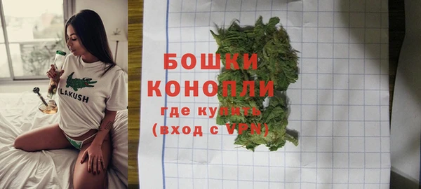 ГАЛЛЮЦИНОГЕННЫЕ ГРИБЫ Осташков