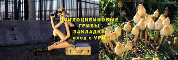 ГАЛЛЮЦИНОГЕННЫЕ ГРИБЫ Осташков