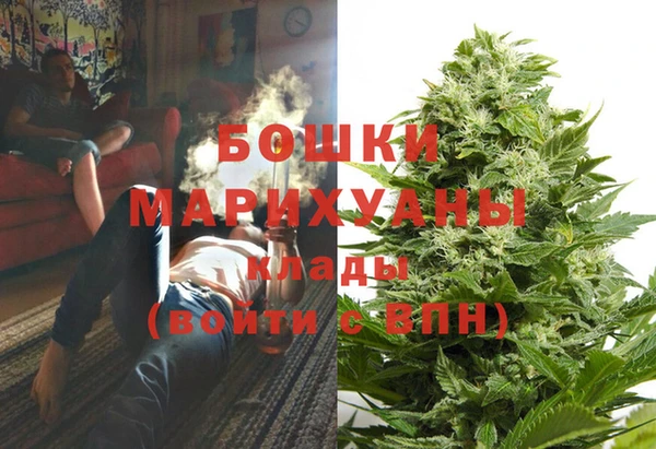 ГАЛЛЮЦИНОГЕННЫЕ ГРИБЫ Осташков