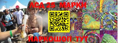 прущие грибы Абакан