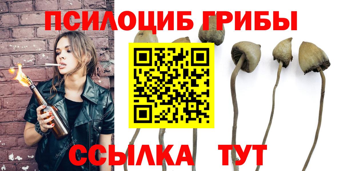 Галлюциногенные грибы Magic Shrooms  Славгород 