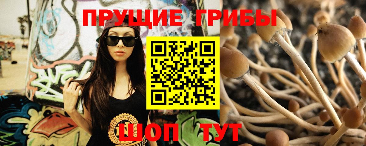 Славгород  Галлюциногенные грибы ЛСД  Вход с VPN 