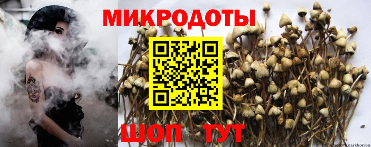 Псилоцибиновые грибы MAGIC MUSHROOMS Славгород